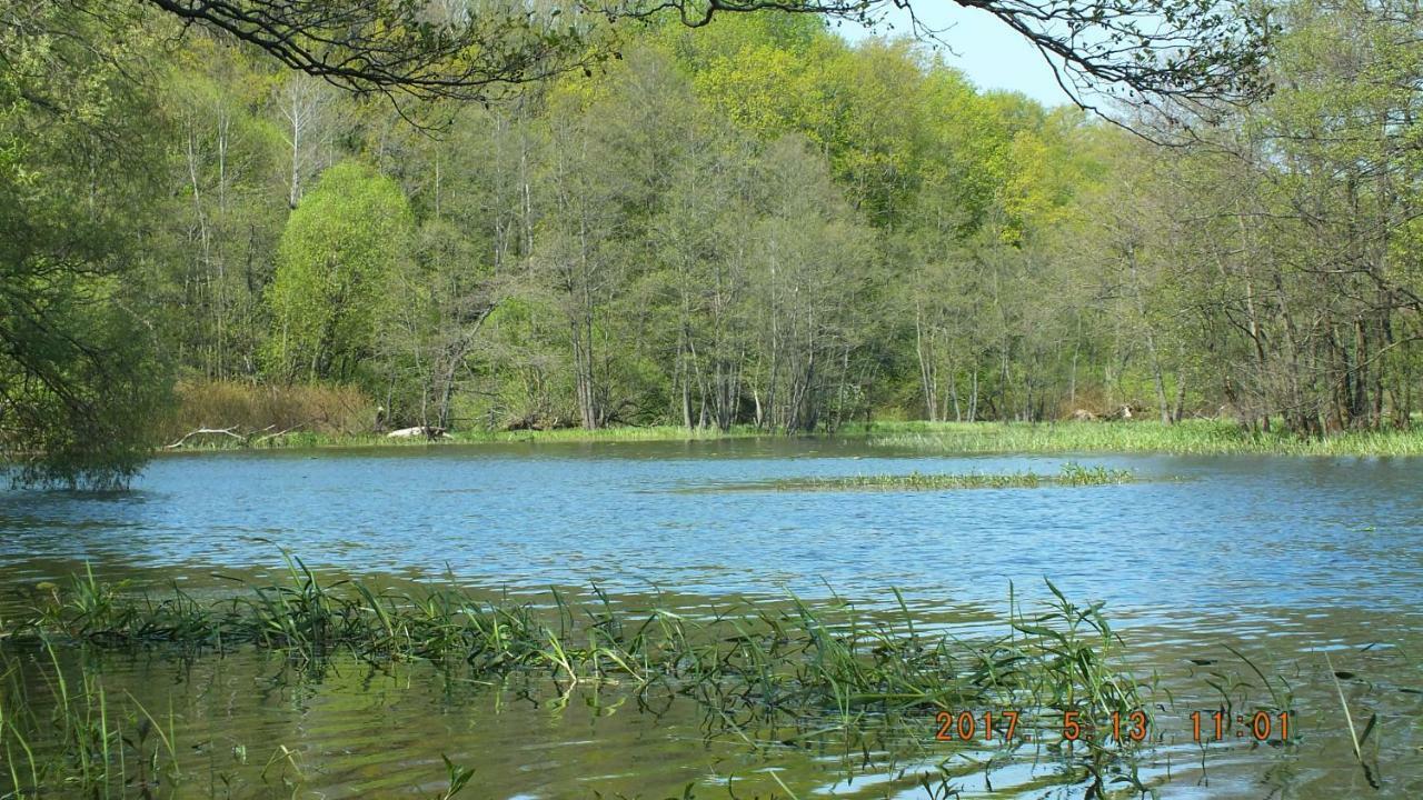 Kwatera na Bagnach Osowiec  Esterno foto