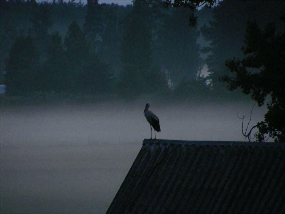 Kwatera na Bagnach Osowiec  Esterno foto