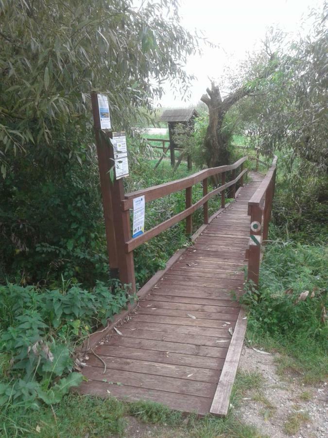 Kwatera na Bagnach Osowiec  Esterno foto